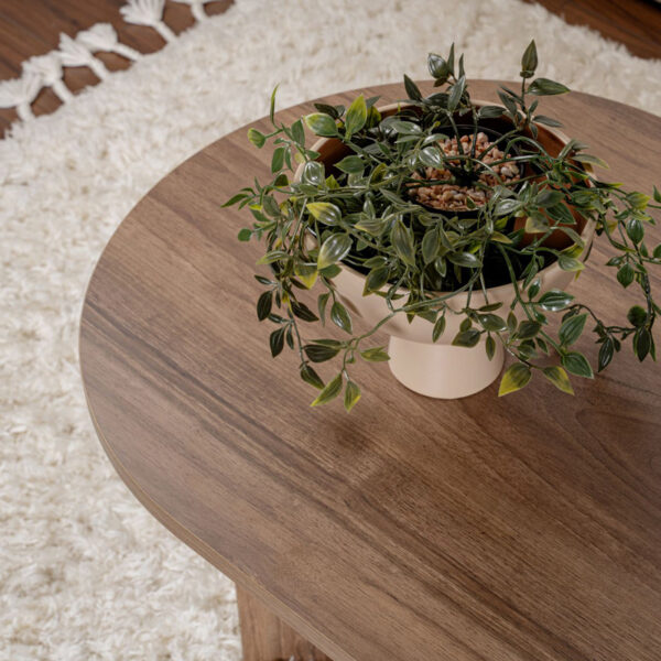 Τραπέζι σαλονιού Tabletod pakoworld σε καρυδί απόχρωση 119x60x40εκ (x1) - Image 3
