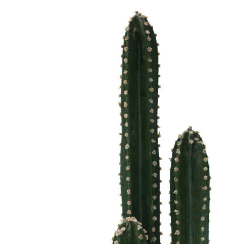 Διακοσμητικό φυτό Cactus III σε γλάστρα Inart πράσινο pp Υ85εκ (x1)
