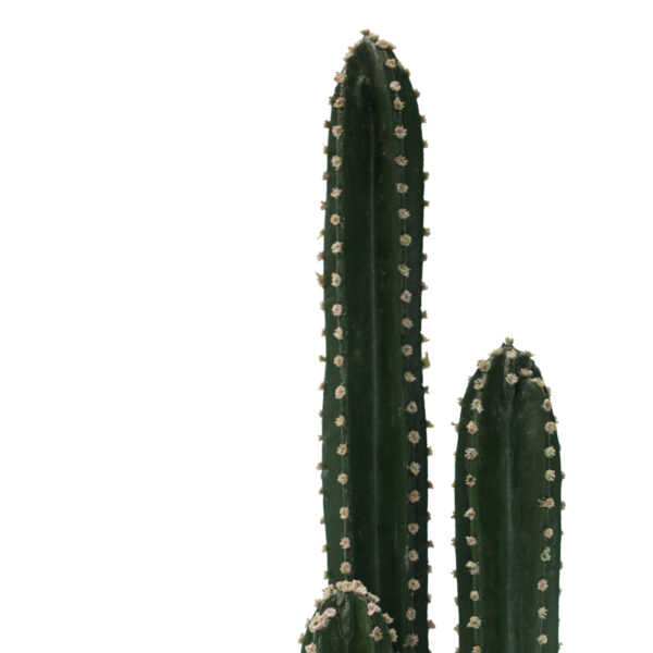 Διακοσμητικό φυτό Cactus III σε γλάστρα Inart πράσινο pp Υ85εκ (x1)