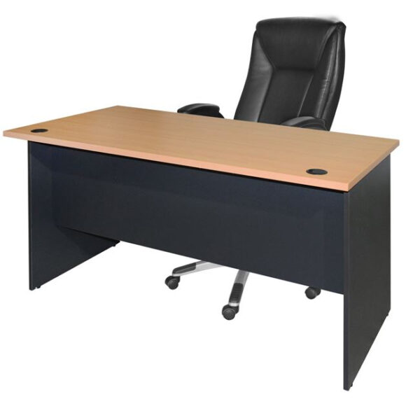 ΓΡΑΦΕΙΟ ΕΠΑΓΓΕΛΜΑΤΙΚΟ SIENNA 120x70x75Y-- HM2015.01 ΓΚΡΙ-ΟΞΙΑ (x1) - Image 6