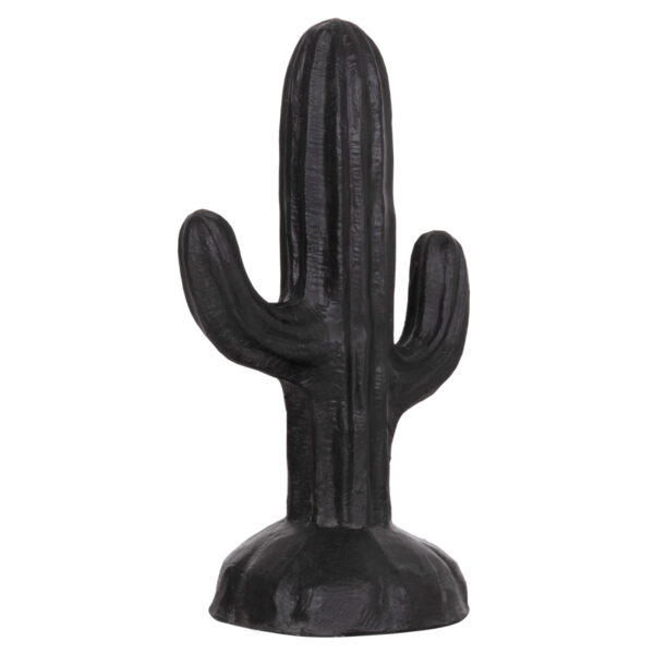 ΔΙΑΚΟΣΜΗΤΙΚΟΣ ΚΑΚΤΟΣ ΔΑΠΕΔΟΥ CACTUS HM4386.01S ΓΥΨΟΣ ΣΕ ΜΑΥΡΟ 42x30x74Υεκ. (x1)