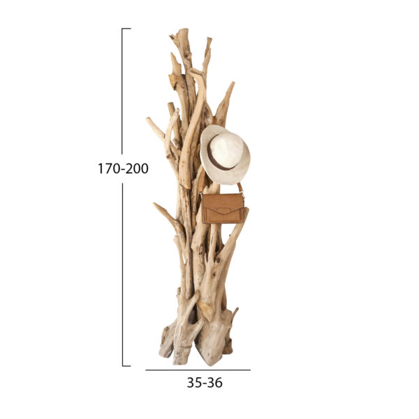 ΚΑΛΟΓΕΡΟΣ HM9367 ΑΠΟ ΜΑΣΙΦ ΞΥΛΟ TEAK ΦΥΣΙΚΟ 36x30x183Υεκ. (x1) - Image 2