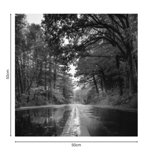 Πίνακας σε καμβά Savgone pakoworld ψηφιακής εκτύπωσης 50x1.8x50εκ (x1)