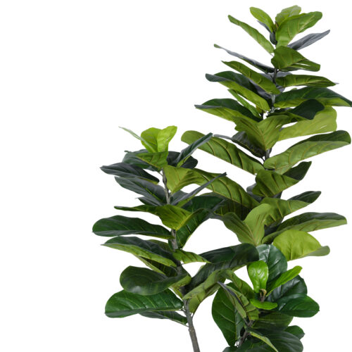 Διακοσμητικό φυτό Fiddlehead I σε γλάστρα Inart πράσινο pp Υ180εκ (x1)