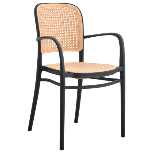 ΠΟΛΥΘΡΟΝΑ ΠΟΛΥΠΡΟΠΥΛΕΝΙΟΥ FLOW HM5938.02 ΜΑΥΡΗ ΚΑΙ ΜΠΕΖ 55x53x86Υεκ. (x1)