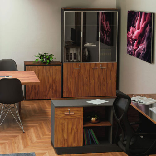 Ντουλάπα γραφείου επαγγελματική με γυάλινες πόρτες Oscar pakoworld καρυδί-ανθρακί 120x40x200εκ (x1)