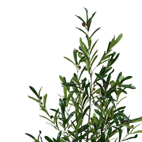 Διακοσμητικό φυτό Olive tree σε γλάστρα Inart πράσινο pp Υ120εκ (x1)